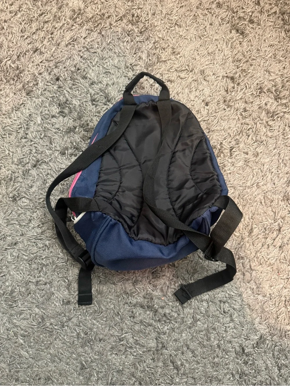 Nike Blue and Pink Women’s mini Backpack
